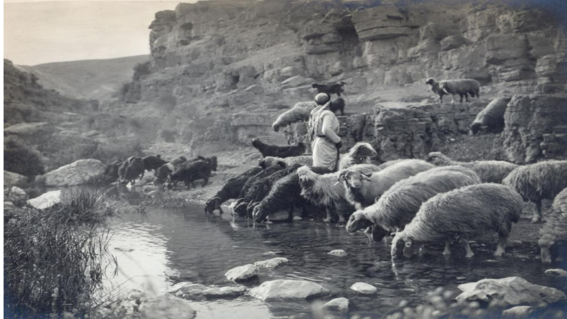 Herbert and Edwin Samuel collection: Wadi al-Far'a (Judean desert) [State Archives]