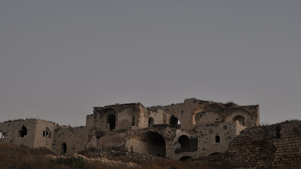 Photo by Ariel Shelleg